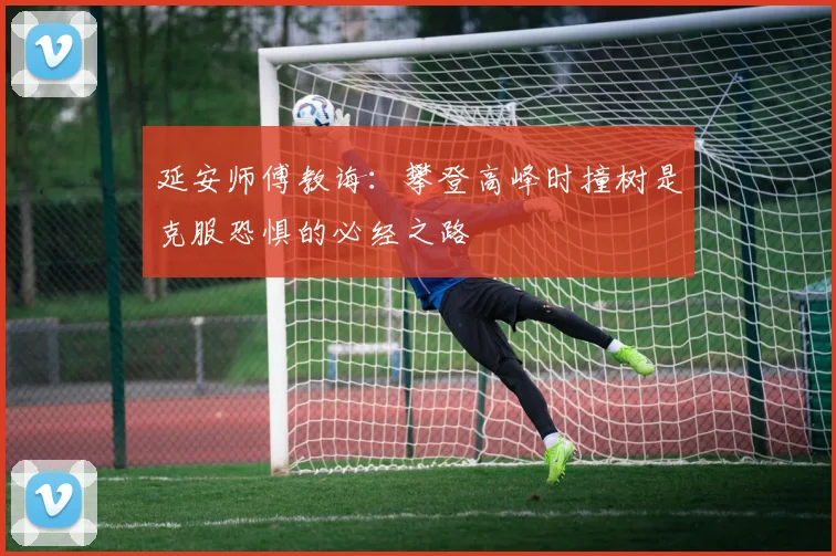 延安师傅教诲：攀登高峰时撞树是克服恐惧的必经之路