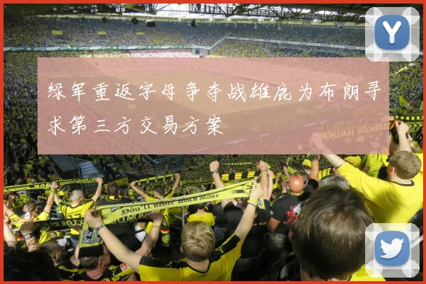 绿军重返字母争夺战雄鹿为布朗寻求第三方交易方案